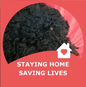 Meet your Posher, Dan